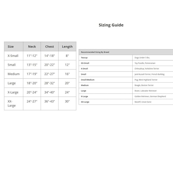 Dog Skeleton Costume - Picture 5 of 5